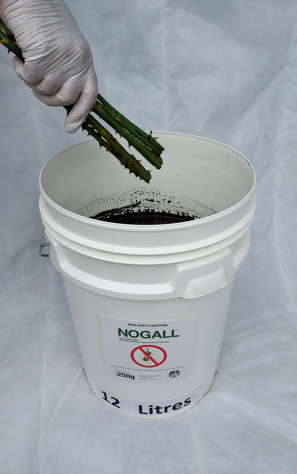 Step 6. Soak cuttings or root stock well in NOGALL and plant.